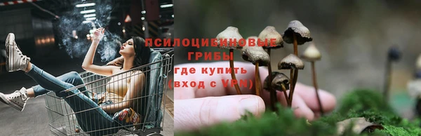 прущий лед Белоозёрский