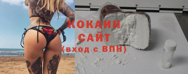COCAINE Богородицк