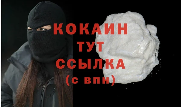 spice Березники