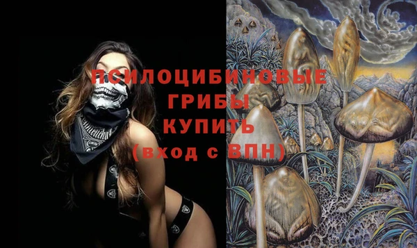 первитин Богданович
