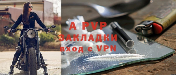кокс Белокуриха