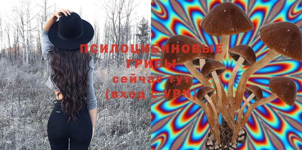 мяу мяу мука Богородск
