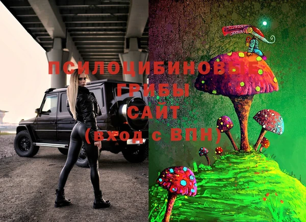 COCAINE Богородицк