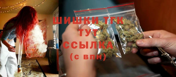 первитин Богданович