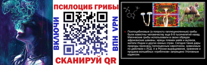 Псилоцибиновые грибы Psilocybe  Демидов 